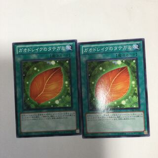 ガオドレイクのタテガミ　２枚