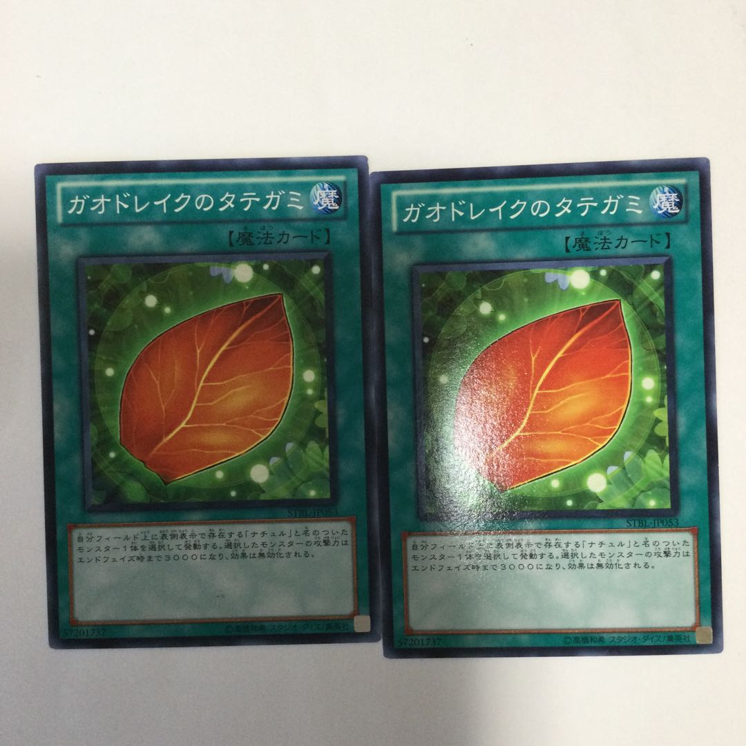 ガオドレイクのタテガミ 2枚