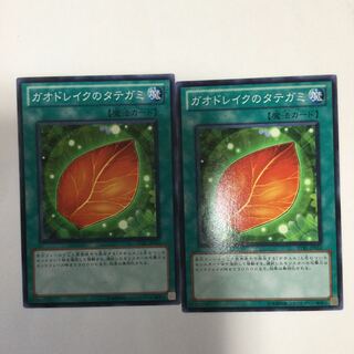 ガオドレイクのタテガミ　２枚