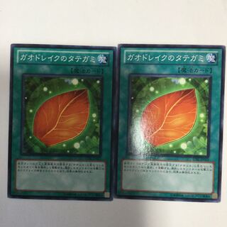 ガオドレイクのタテガミ　２枚