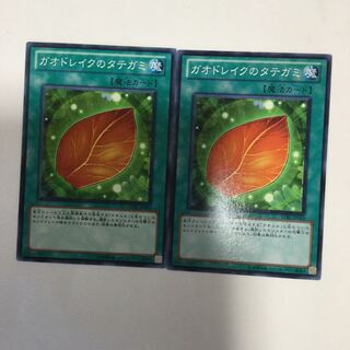 ガオドレイクのタテガミ　２枚