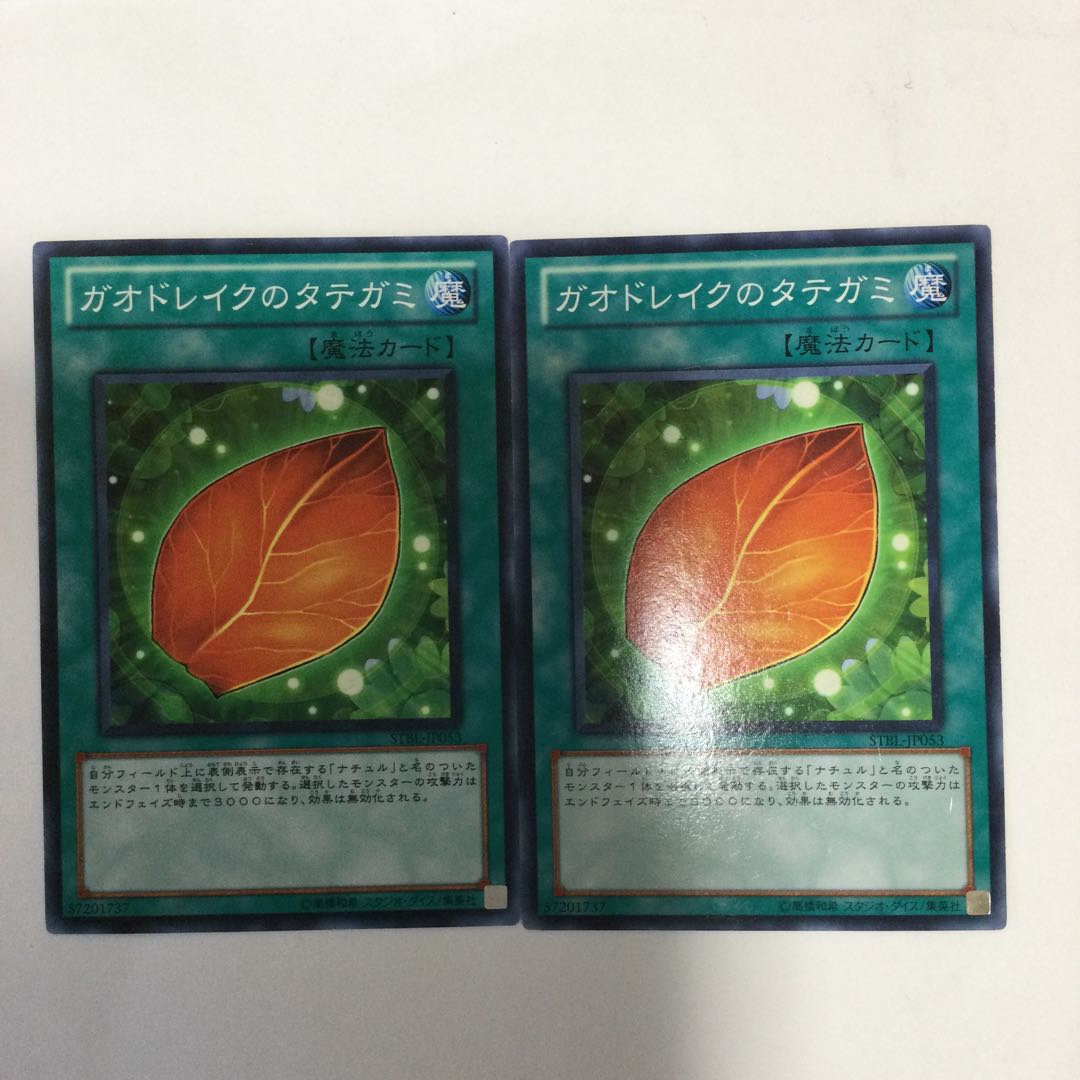 ガオドレイクのタテガミ　２枚