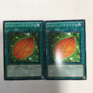 ガオドレイクのタテガミ　２枚