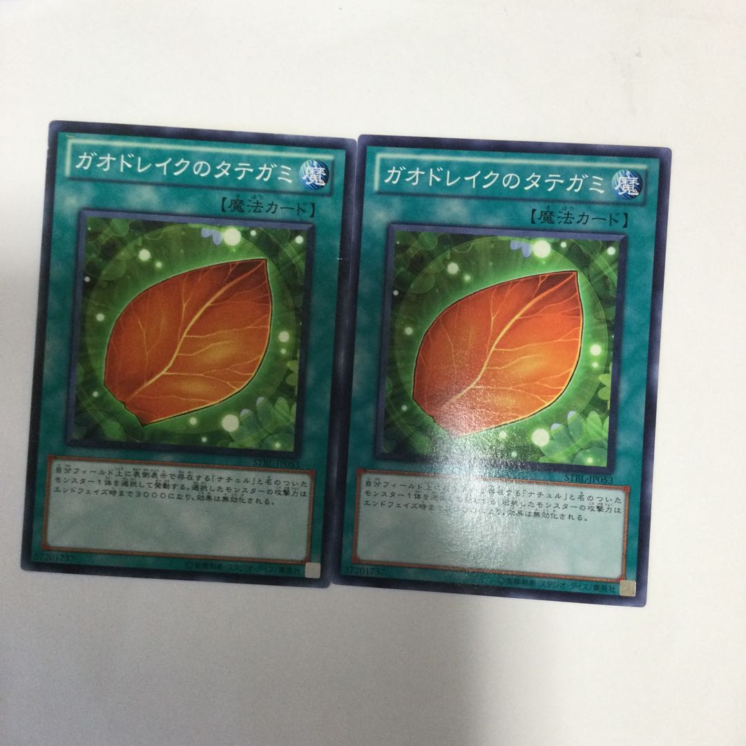 ガオドレイクのタテガミ　２枚