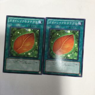 ガオドレイクのタテガミ　２枚