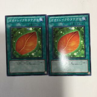 ガオドレイクのタテガミ　２枚