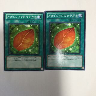 ガオドレイクのタテガミ　２枚