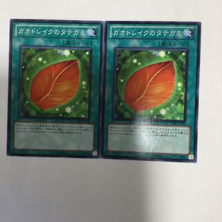 ガオドレイクのタテガミ　２枚