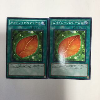 ガオドレイクのタテガミ　２枚