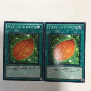 ガオドレイクのタテガミ　２枚