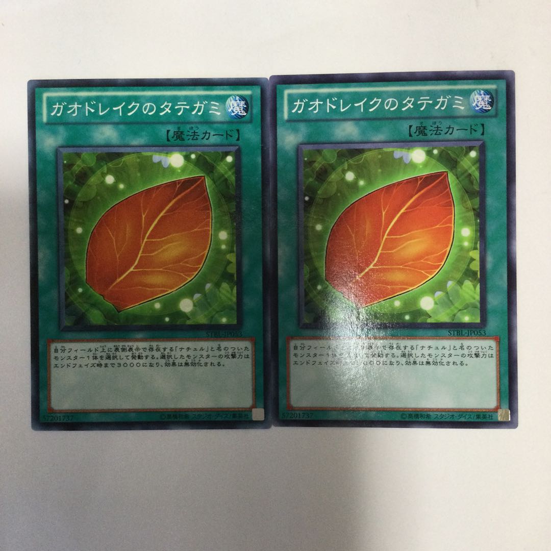 ガオドレイクのタテガミ　２枚