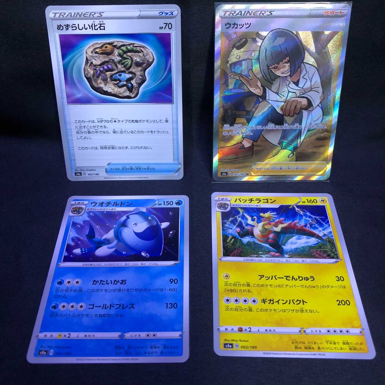 ウカッツ めずらい化石 パッチルドン ウオチルドン シャイニースターV