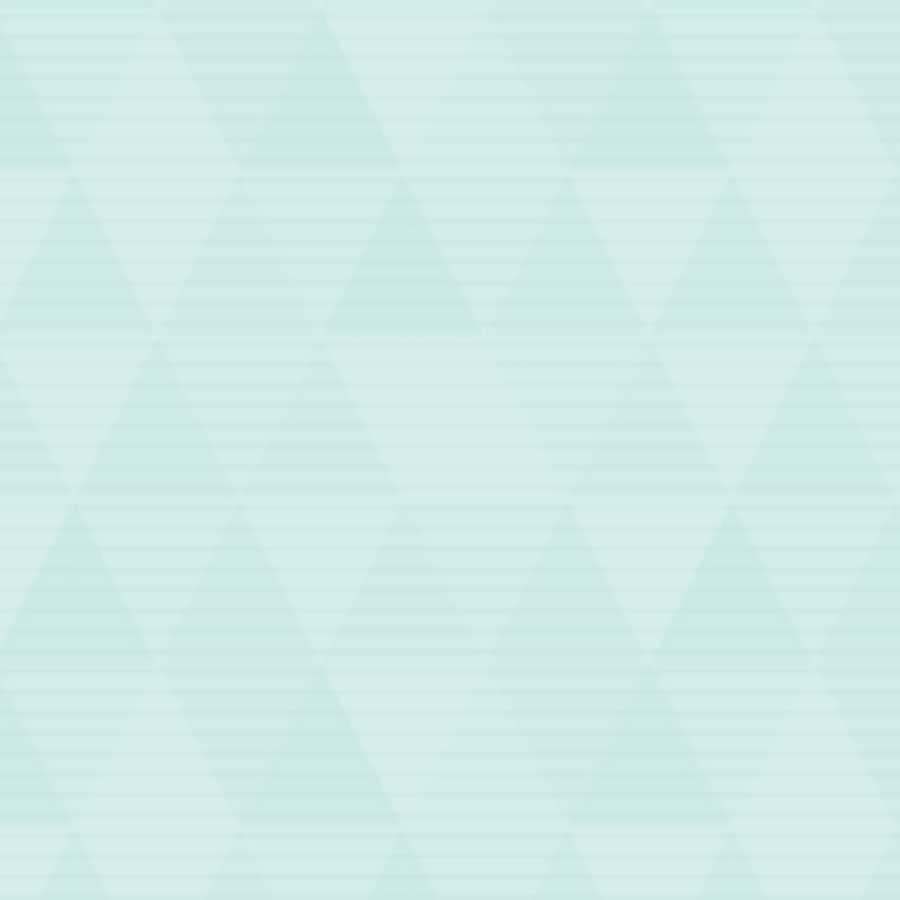 専用ページ 1枚