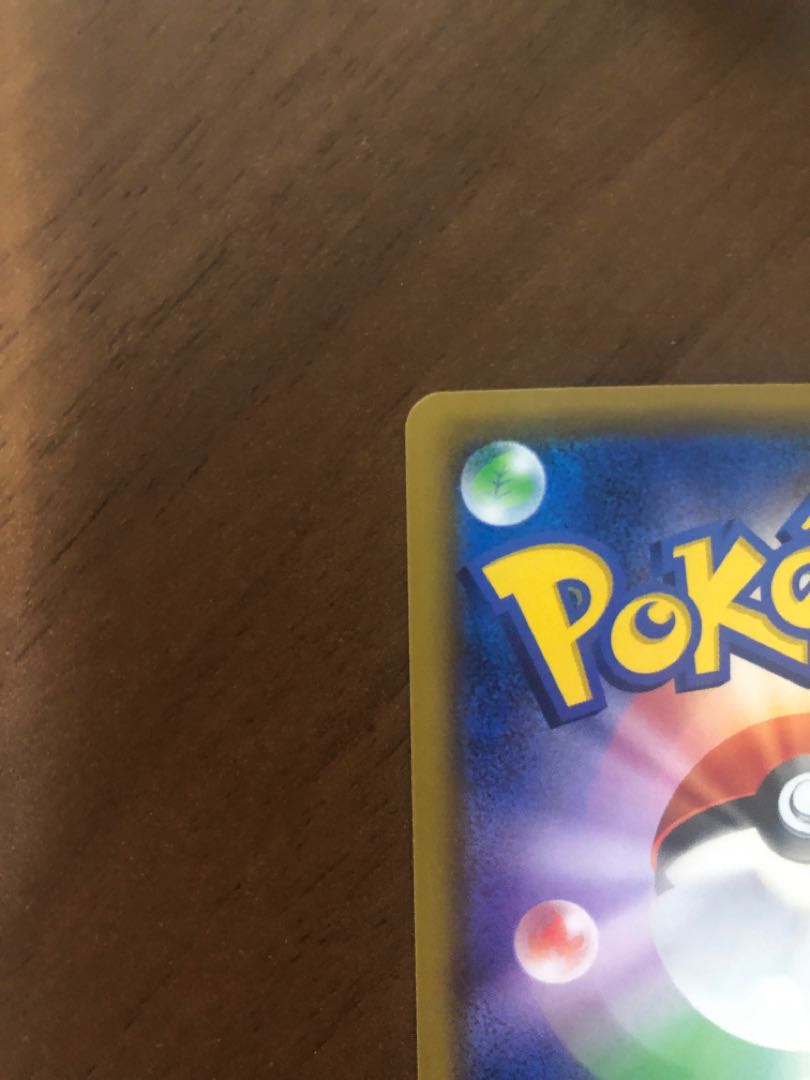 エリカのおもてなし SR