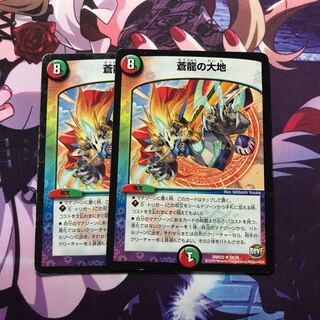 蒼龍の大地 2枚