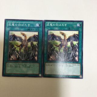 巨竜の羽ばたき　２枚