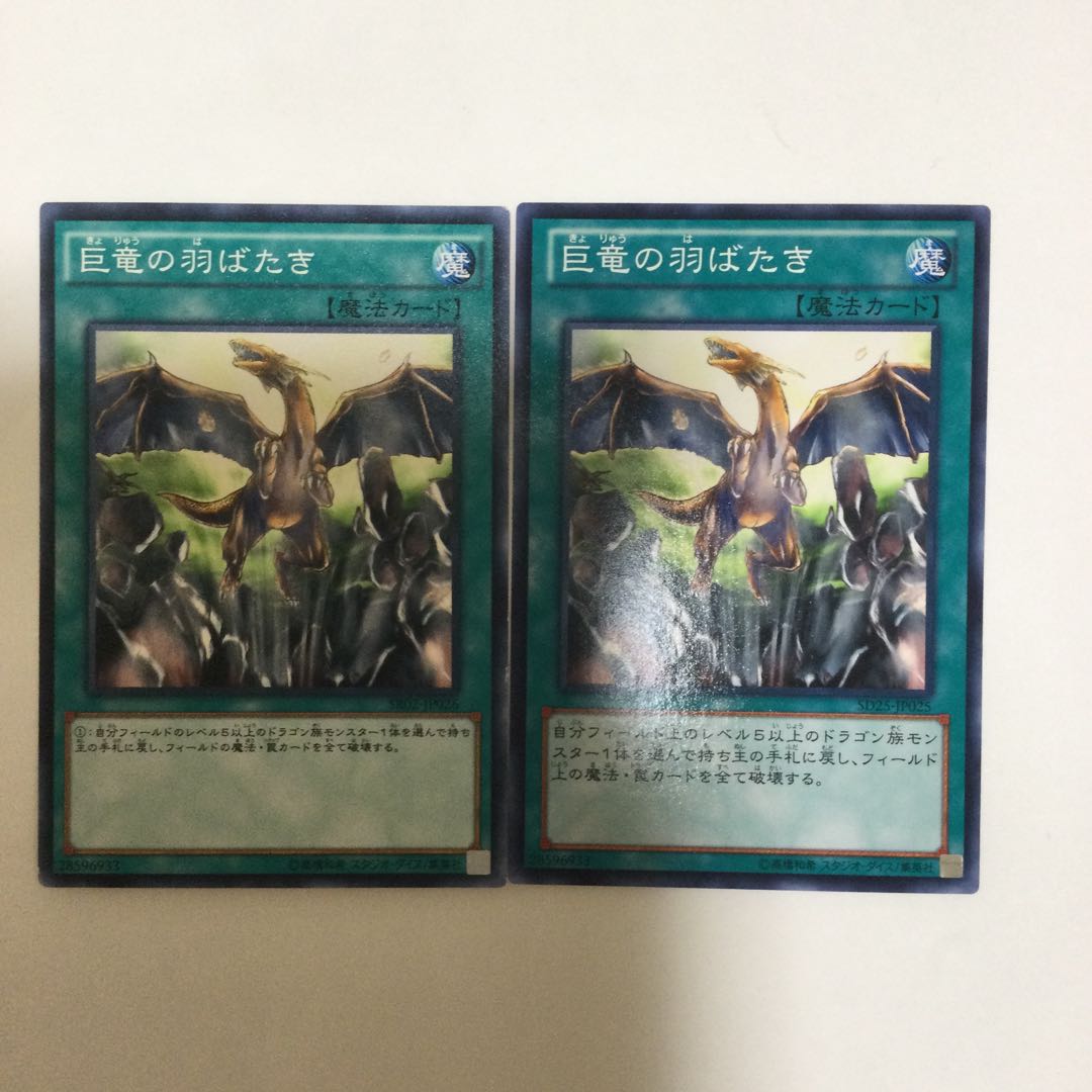 巨竜の羽ばたき　２枚