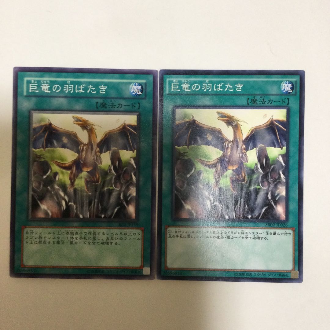 巨竜の羽ばたき　２枚