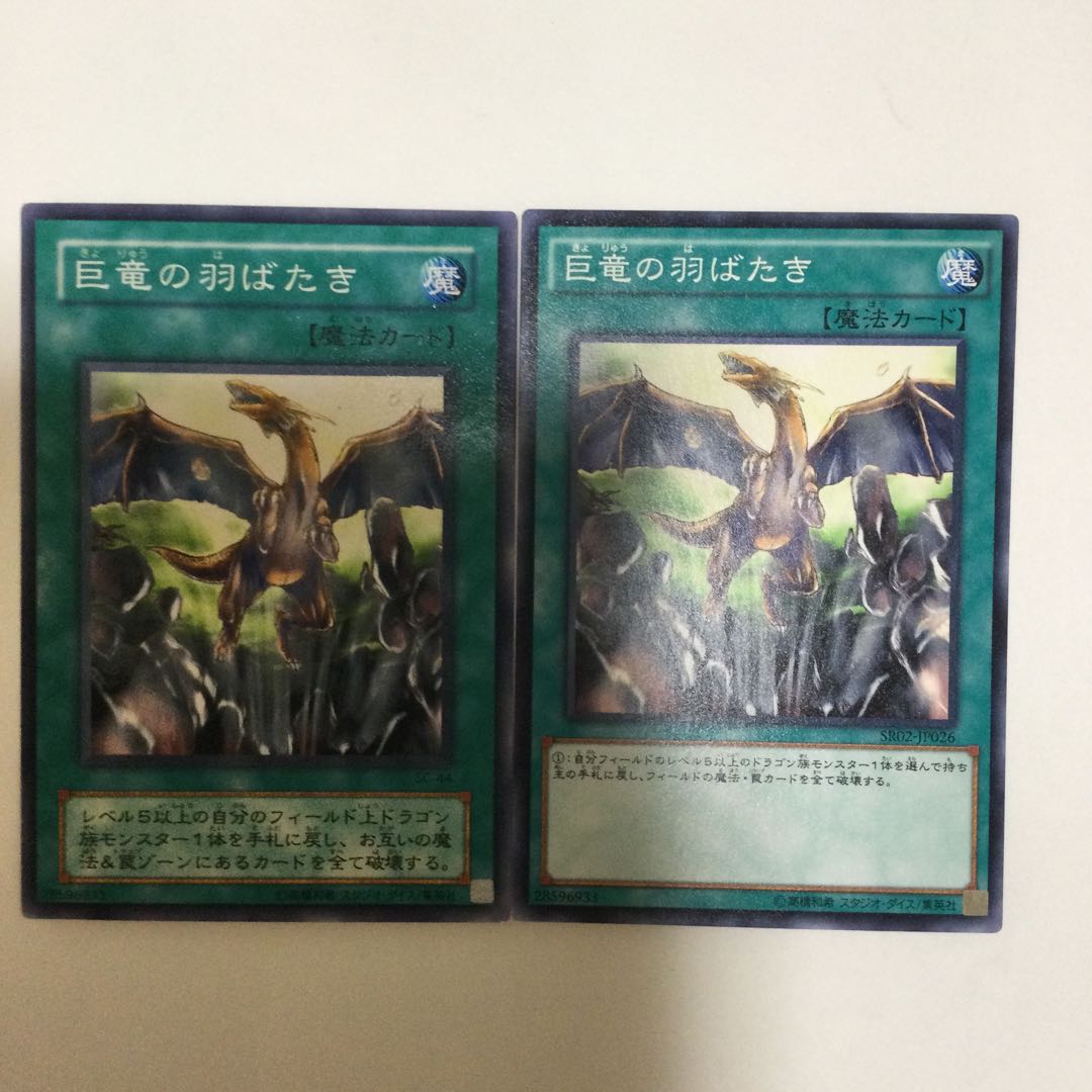 巨竜の羽ばたき 2枚