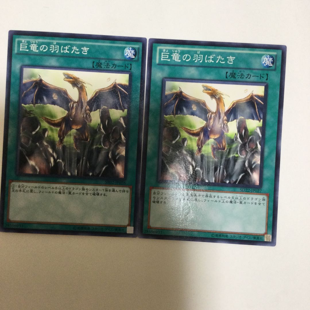 巨竜の羽ばたき　２枚