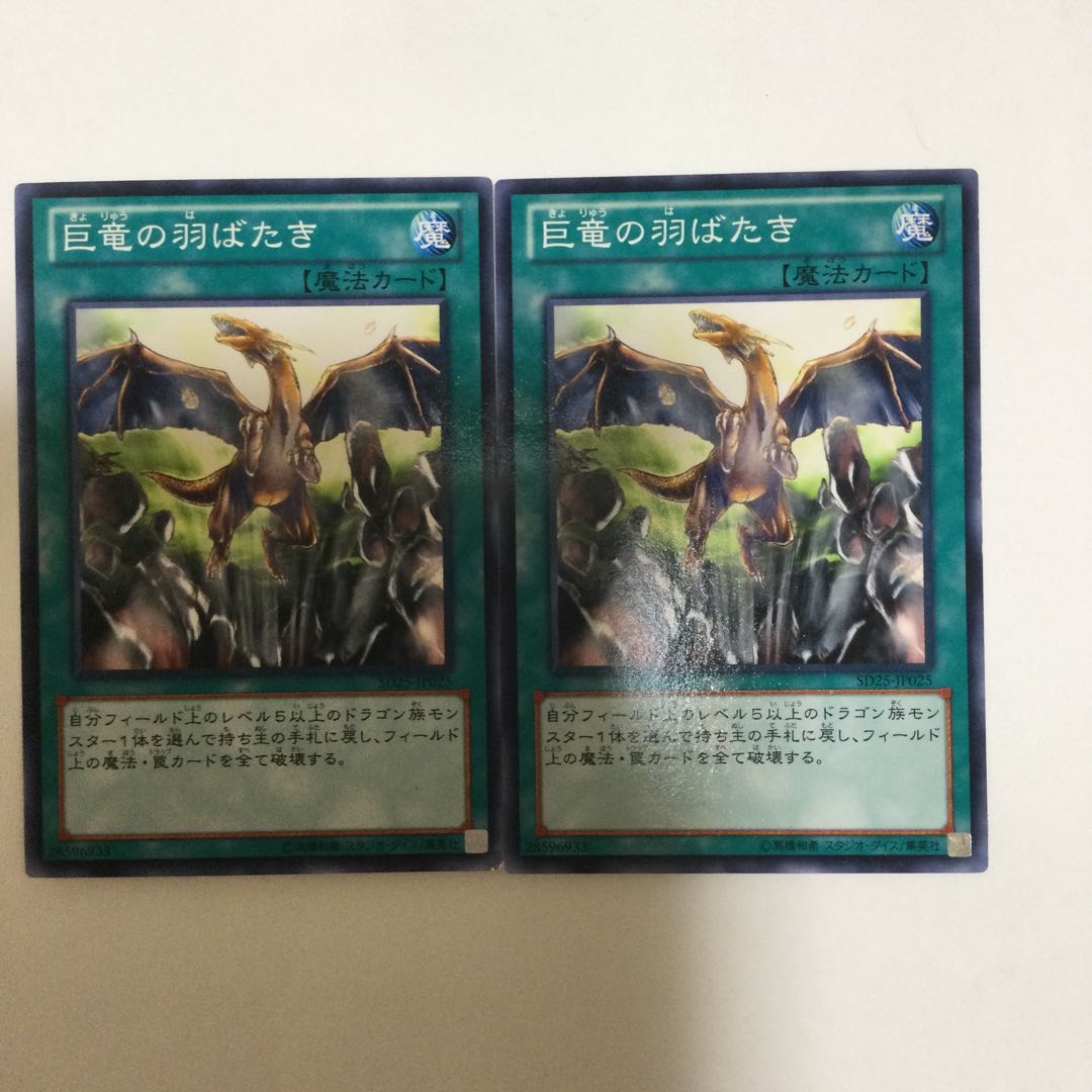 巨竜の羽ばたき　２枚