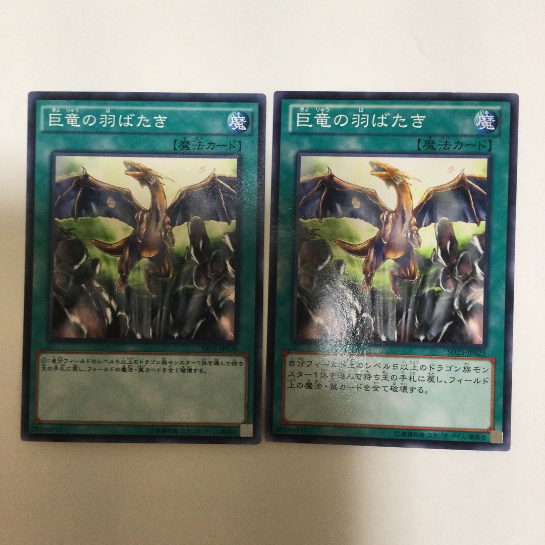 巨竜の羽ばたき　２枚 1枚