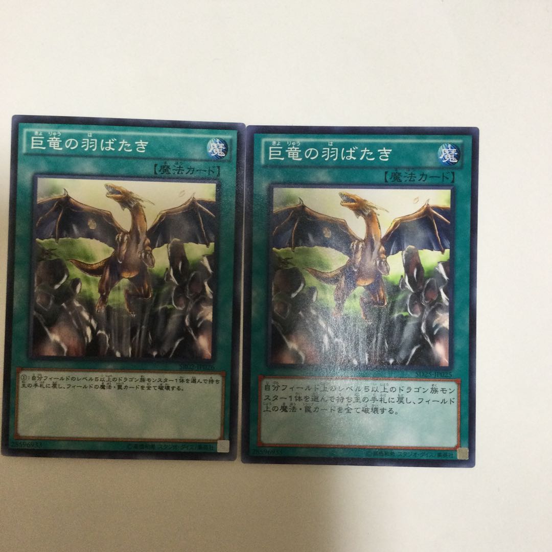 巨竜の羽ばたき　２枚