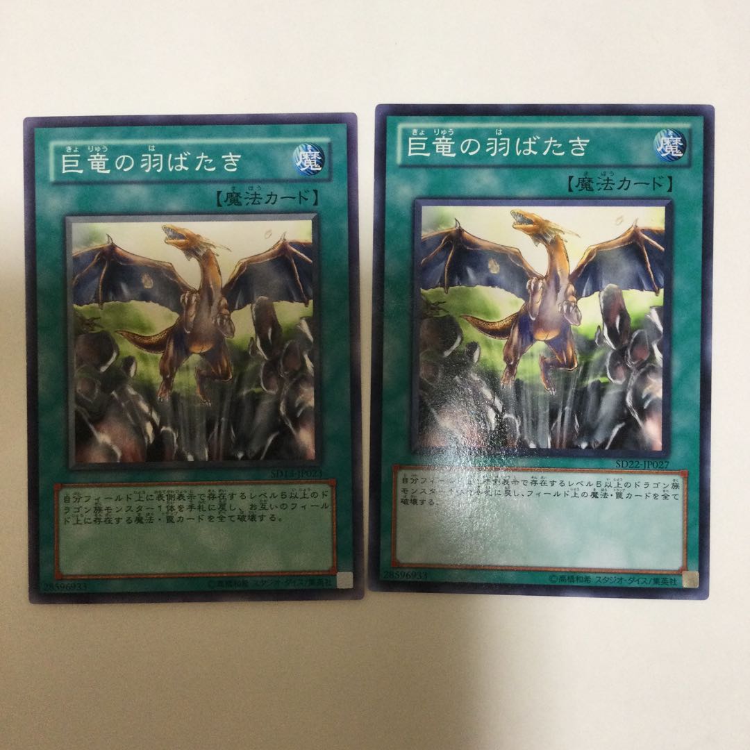 巨竜の羽ばたき　２枚