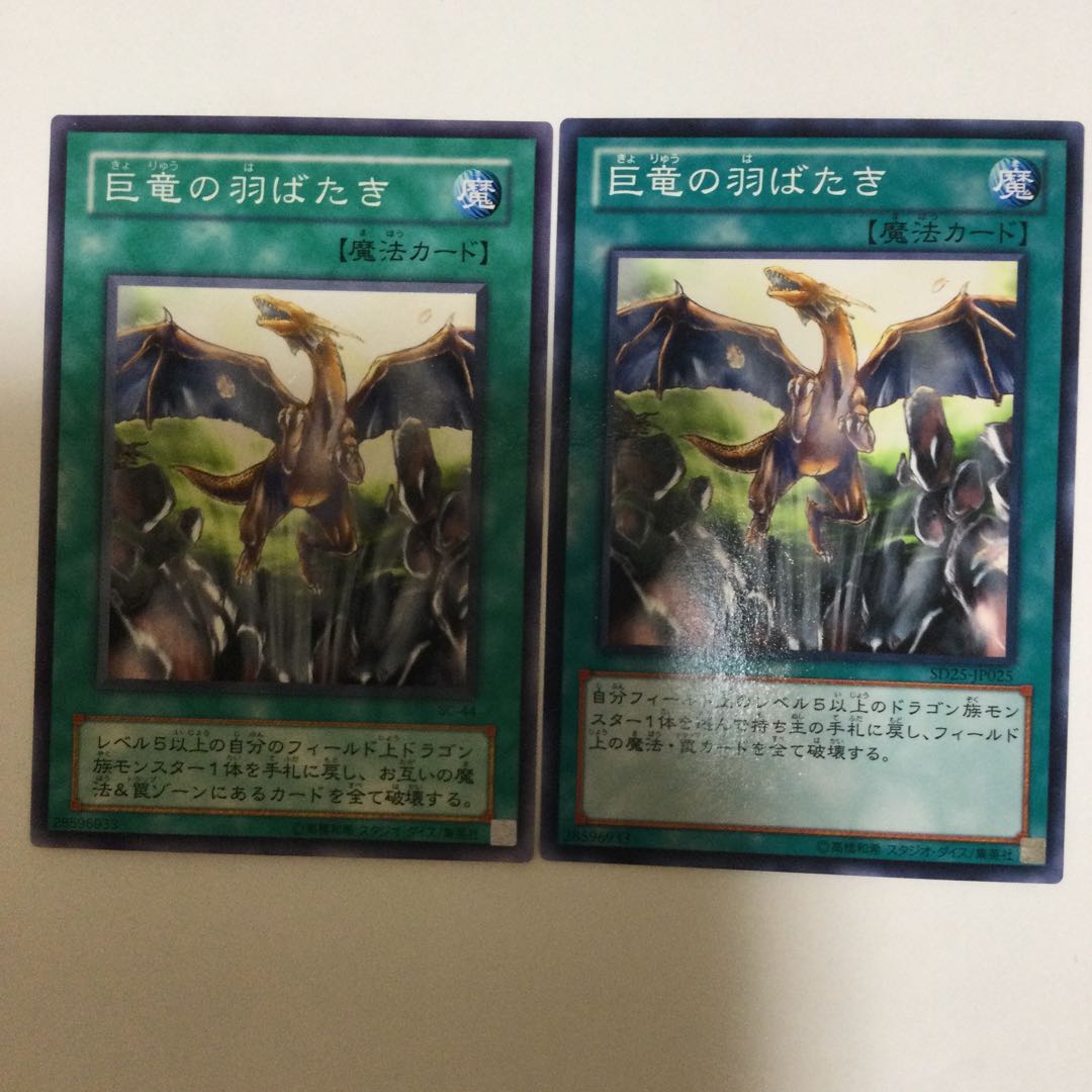 巨竜の羽ばたき　２枚