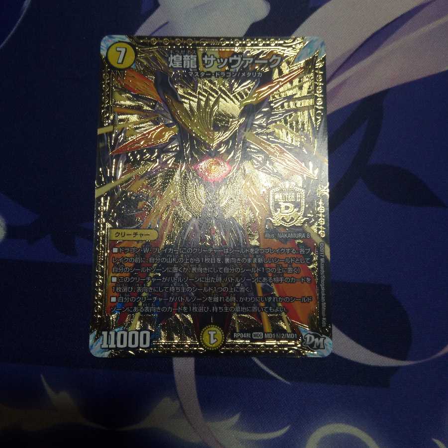 煌龍 サッヴァーク