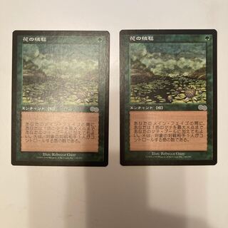 花の絨毯　日本語版　2枚セット　1枚は美品