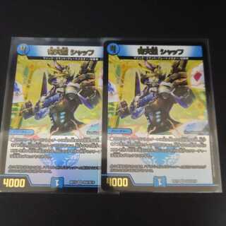 奇天烈 シャッフ2枚セット