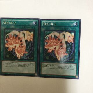 強制進化　２枚