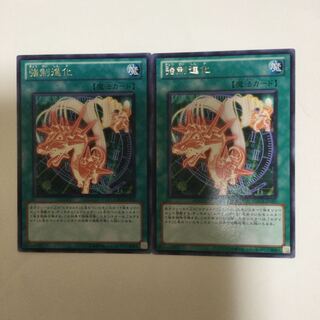 強制進化　２枚