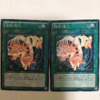 強制進化　２枚