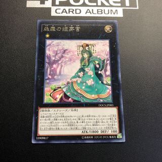 森羅の姫芽宮 レア