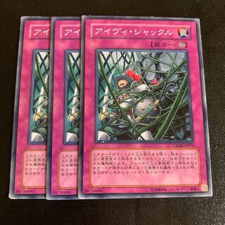 アイヴィ・シャックル ノーマル