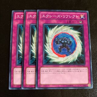 エクシーズ・リフレクト ノーマル