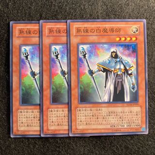 熟練の白魔導師#470