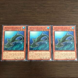 エクシーズ・リモーラ ノーマル