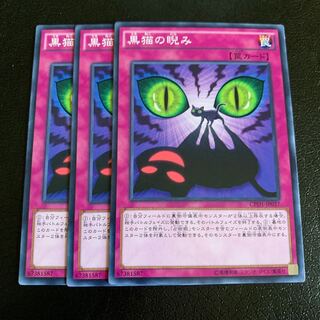 黒猫の睨み ノーマル