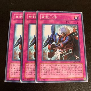 身剣一体 ノーマル