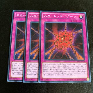 スカーレッド・コクーン ノーマル