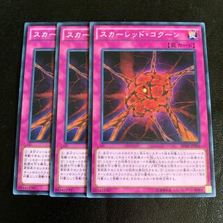 スカーレッド・コクーン ノーマル