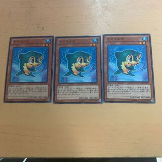 イマイルカ ノーマル