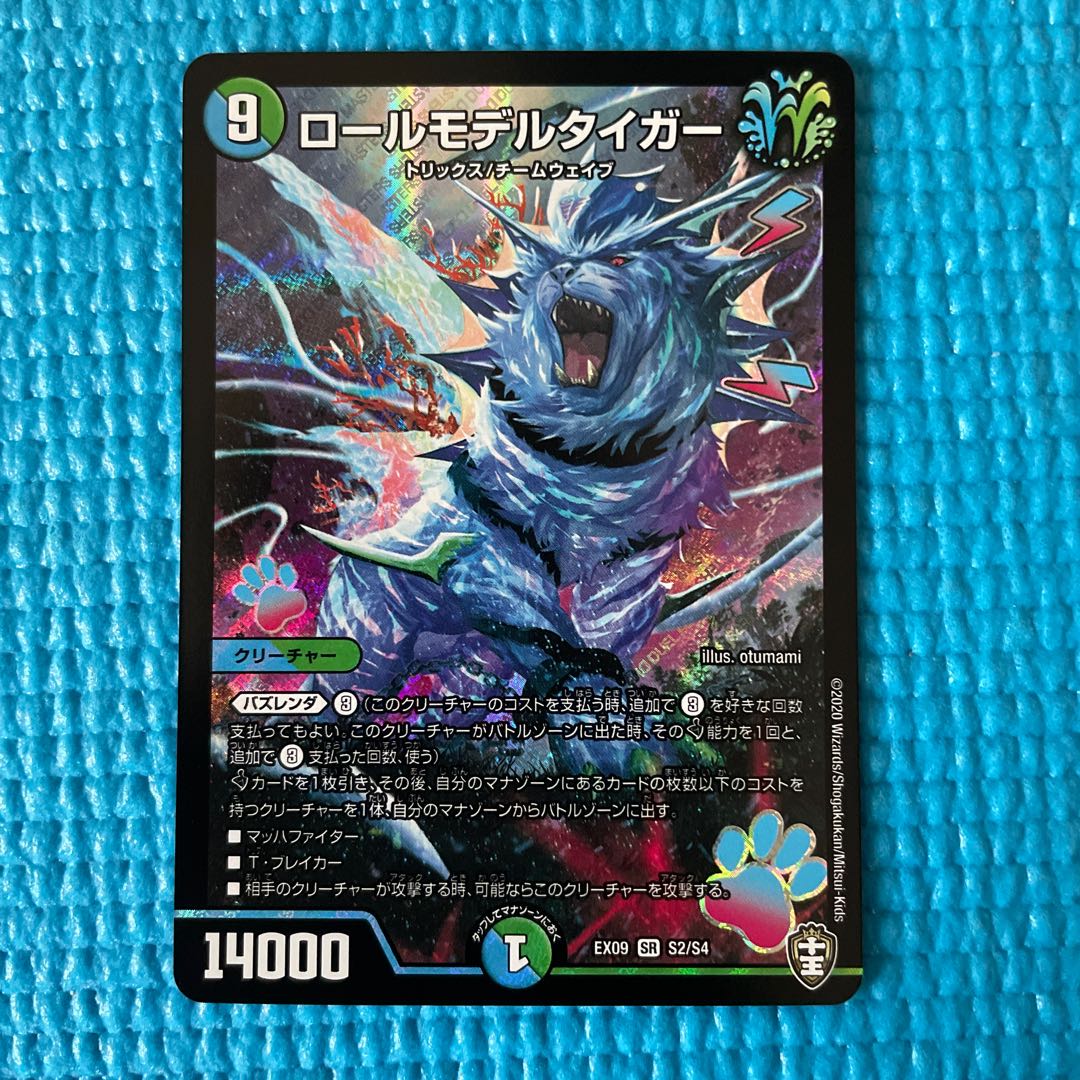 ロールモデルタイガー