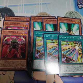 Anicro ZSZW set 1枚