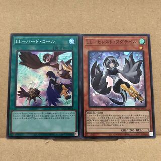 LL-バード・コール＆セレスト・ワグテイル