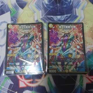 煌メク聖壁 灰瞳