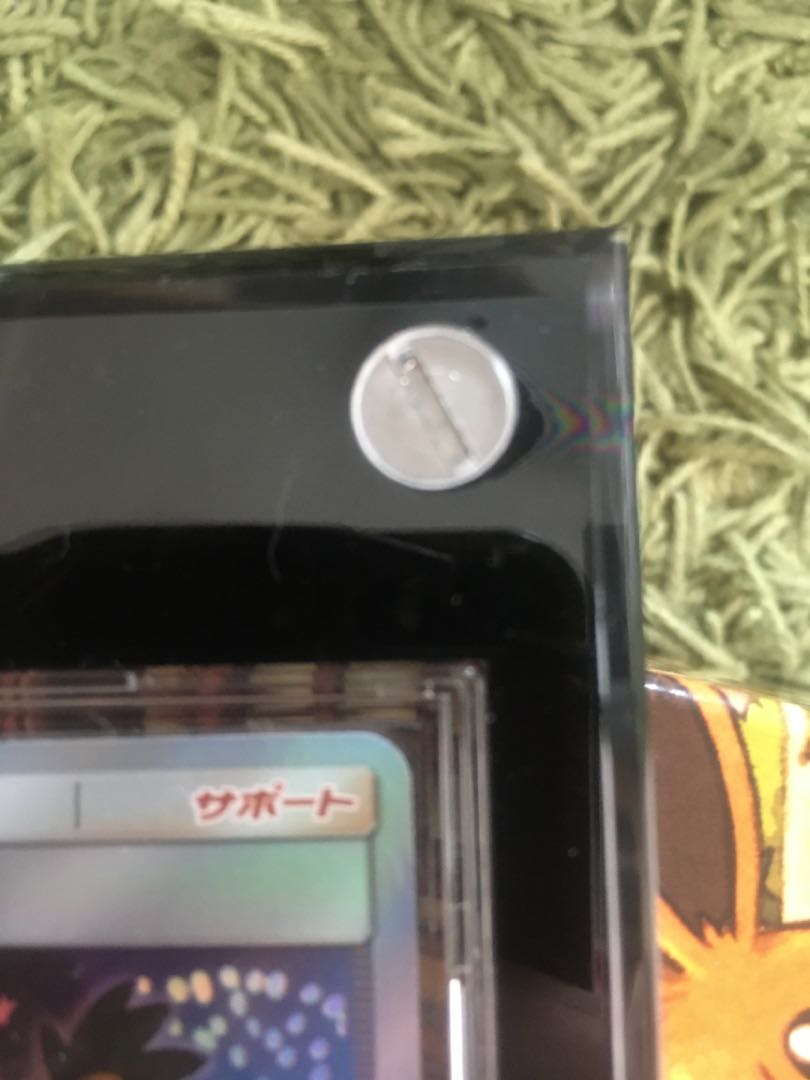 最終値下げ!! アローラの仲間たち